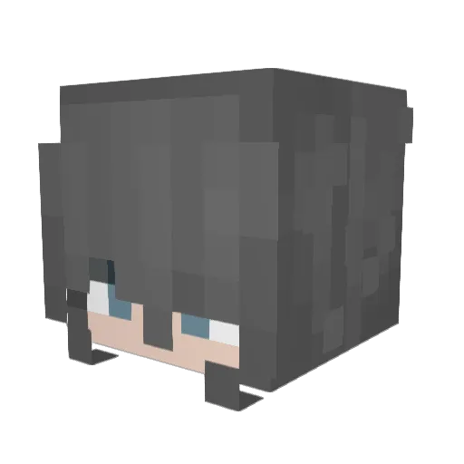 Caos45 Minecraft avatar head, 3D render