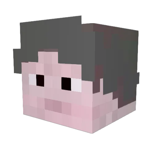 Caosh1 Minecraft avatar head, 3D render