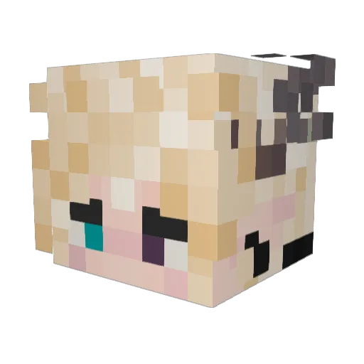 CapacityLamb666 Minecraft avatar head, 3D render