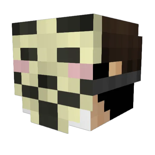 CapelloBR Minecraft avatar head, 3D render