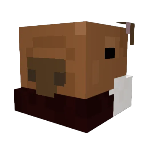 Capi_flow Minecraft avatar head, 3D render