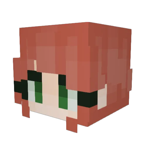 Capillarymage00 Minecraft avatar head, 3D render