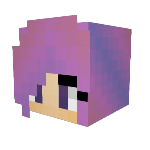 CapitalDUCK Minecraft avatar head, 3D render