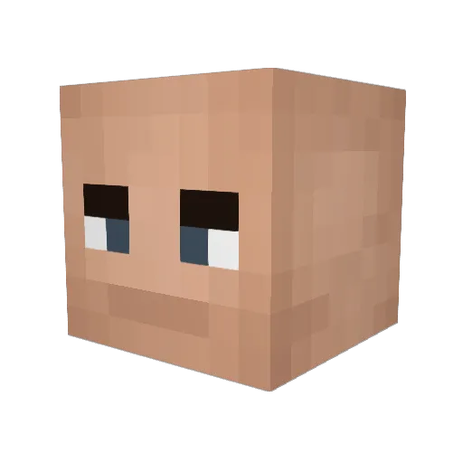 CapitanDolfi Minecraft avatar head, 3D render