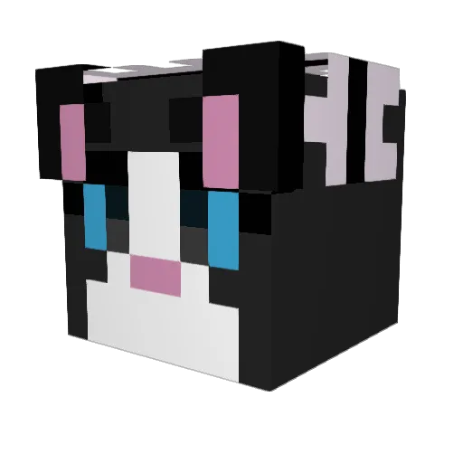 CapitanSpain Minecraft avatar head, 3D render