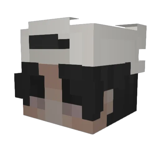 Capitemflam Minecraft avatar head, 3D render