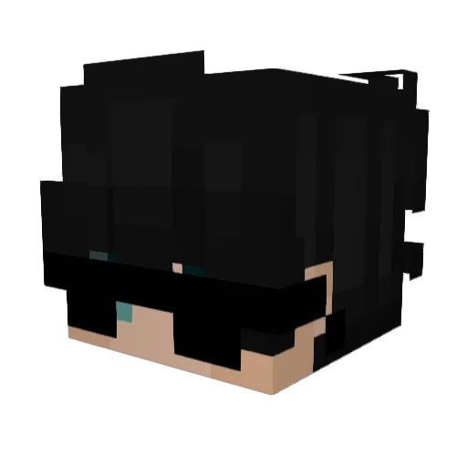 Capivara_Caipira Minecraft avatar head, 3D render