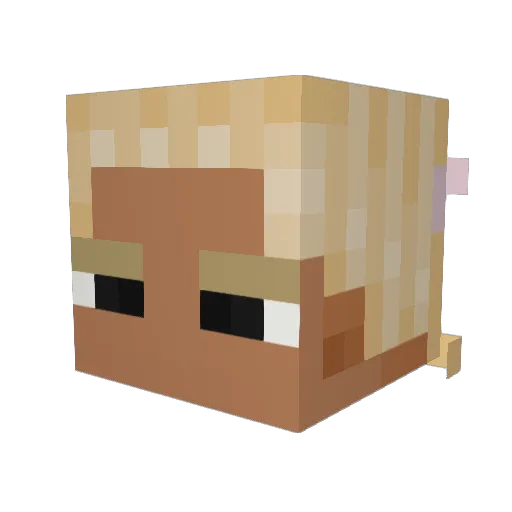CaplinIsCool Minecraft avatar head, 3D render