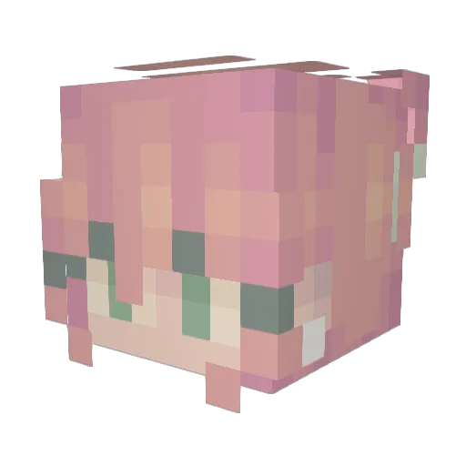 CapnJNUTT Minecraft avatar head, 3D render