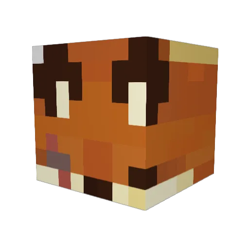 CapnKrunkCereal Minecraft avatar head, 3D render