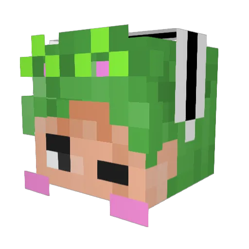 CapnMurica420 Minecraft avatar head, 3D render