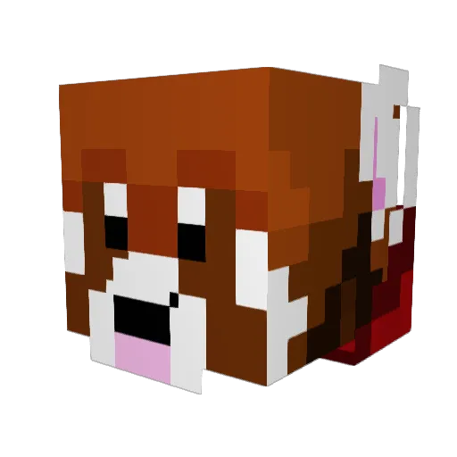 CapnRed00 Minecraft avatar head, 3D render