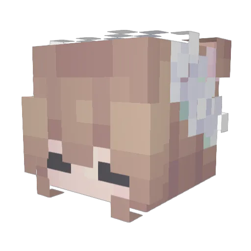 CapooMeow Minecraft avatar head, 3D render
