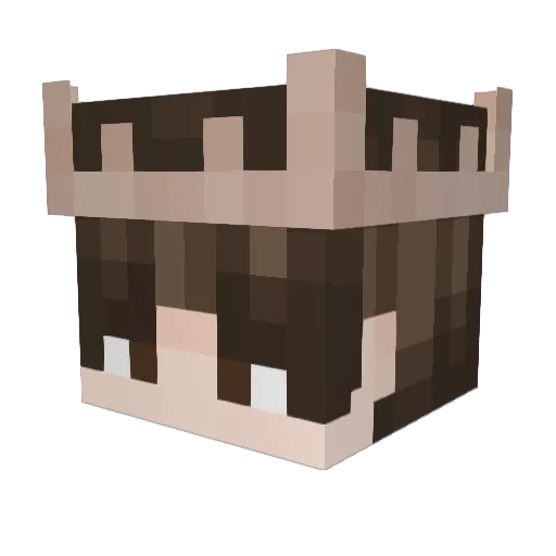 Cappepperpants Minecraft avatar head, 3D render