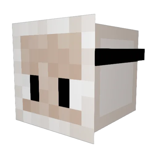 CappuccinoGood Minecraft avatar head, 3D render