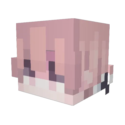 Cappy1013 Minecraft avatar head, 3D render