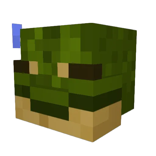 Capri_98 Minecraft avatar head, 3D render