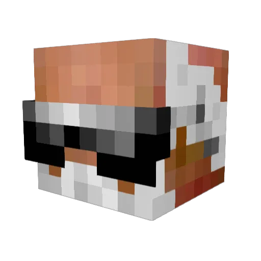 Capri_Sun_Safari Minecraft avatar head, 3D render