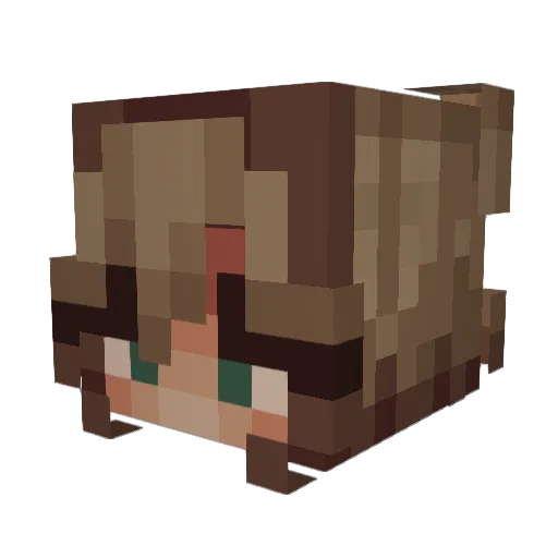 Capricorn1215 Minecraft avatar head, 3D render