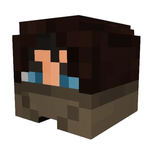 Capsuleer_7 Minecraft avatar head, 3D render