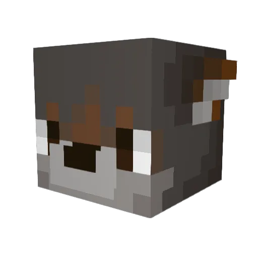 CaptQtip Minecraft avatar head, 3D render