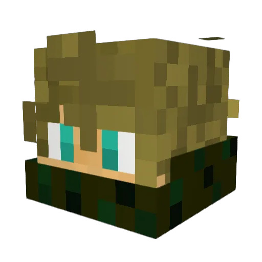 Capt_Ciabatta Minecraft avatar head, 3D render