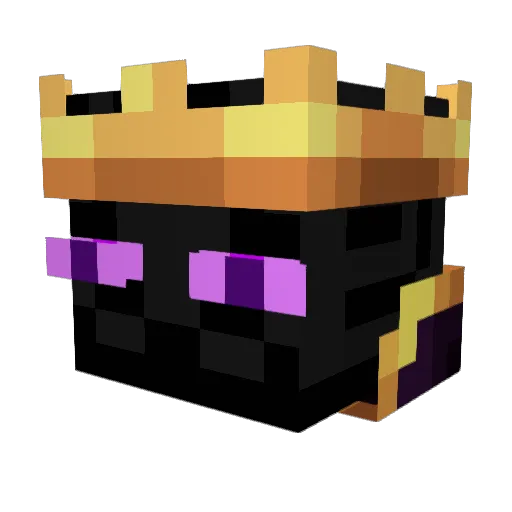 Capt_Hedgehog Minecraft avatar head, 3D render