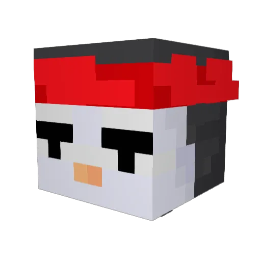 Capt_Pingu Minecraft avatar head, 3D render