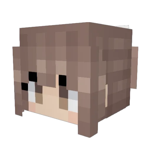 Capt_omelet Minecraft avatar head, 3D render