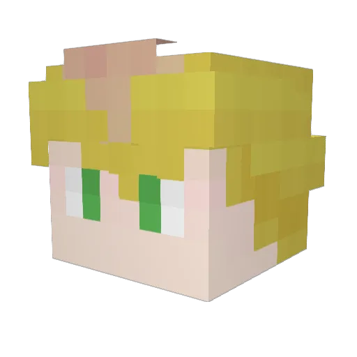Capta1nP1ckl3s Minecraft avatar head, 3D render