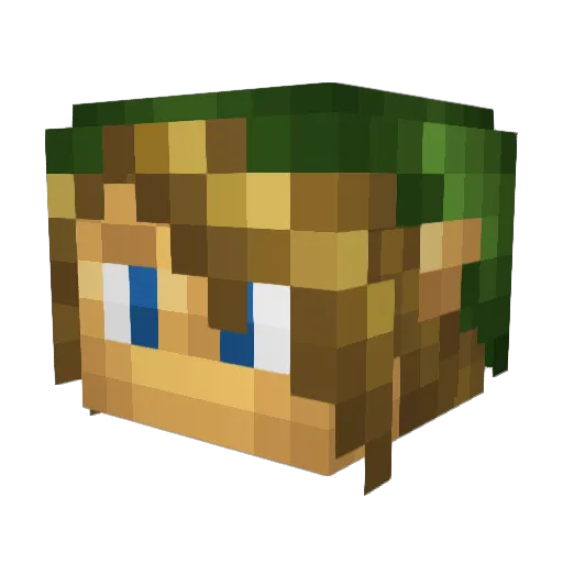 Captain1338 Minecraft avatar head, 3D render
