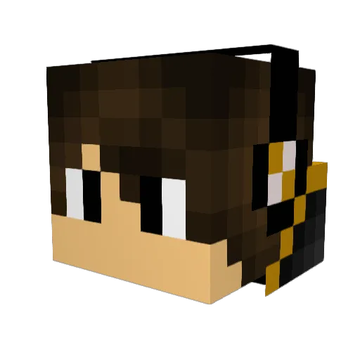Captain370 Minecraft avatar head, 3D render