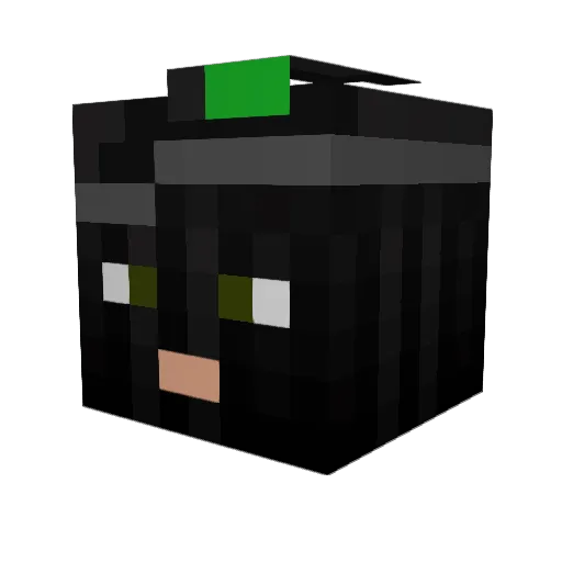 Captain4211 Minecraft avatar head, 3D render