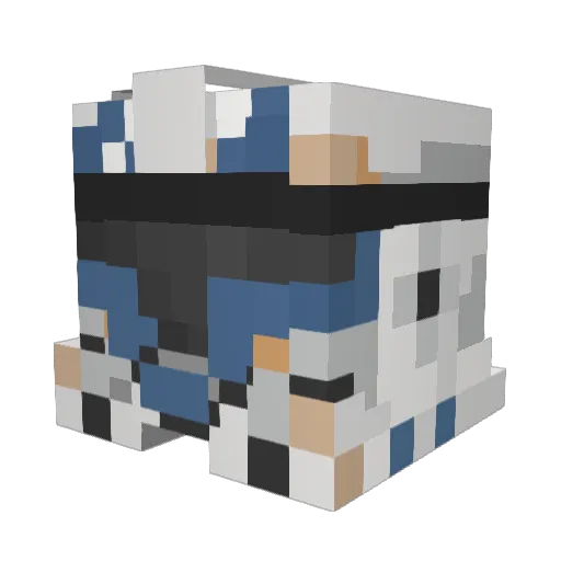 Captain501Jonas Minecraft avatar head, 3D render