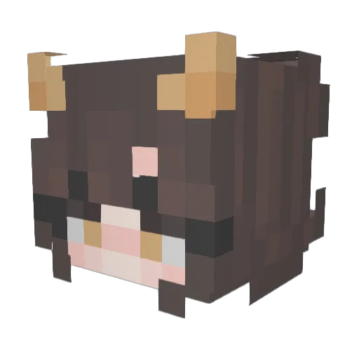 CaptainAidi Minecraft avatar head, 3D render