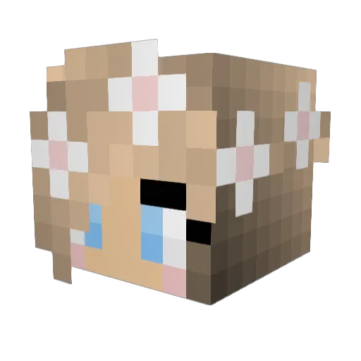 CaptainBeauty Minecraft avatar head, 3D render