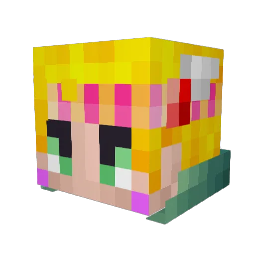 CaptainBool Minecraft avatar head, 3D render