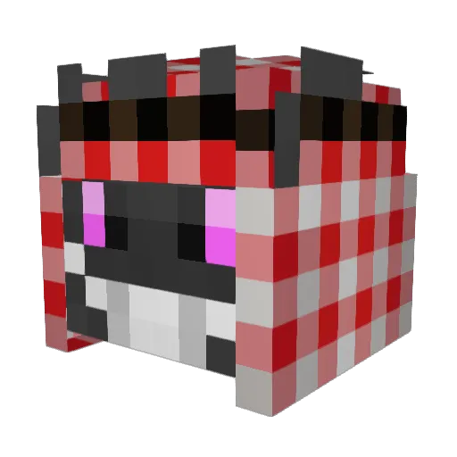 CaptainBoon99 Minecraft avatar head, 3D render