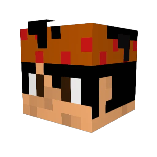 CaptainCasta Minecraft avatar head, 3D render