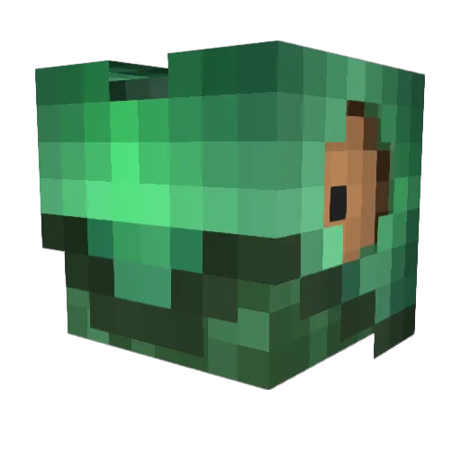 CaptainChameleo Minecraft avatar head, 3D render
