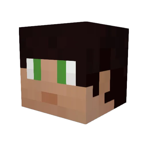 CaptainCraft2020 Minecraft avatar head, 3D render