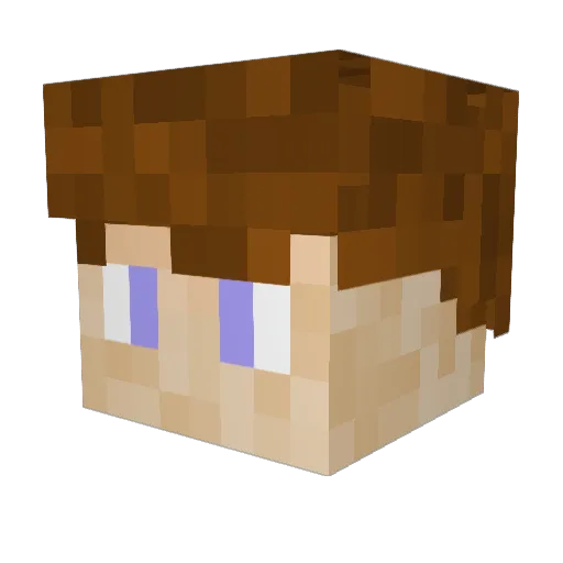 CaptainCrock Minecraft avatar head, 3D render