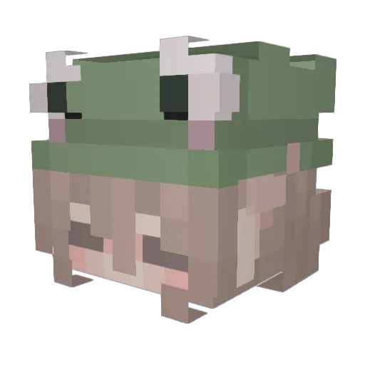 CaptainCrumb49 Minecraft avatar head, 3D render