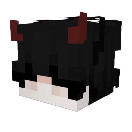 CaptainDaJuni Minecraft avatar head, 3D render