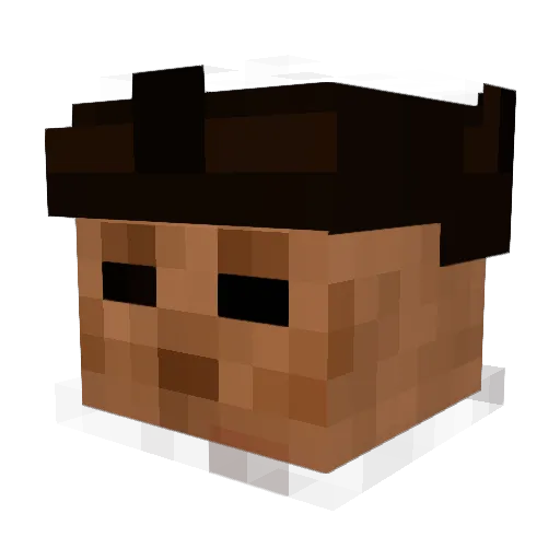 CaptainDank202 Minecraft avatar head, 3D render