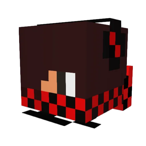 CaptainFalcons15 Minecraft avatar head, 3D render