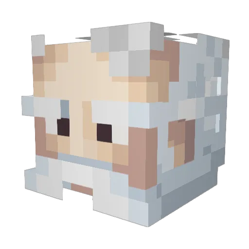 CaptainFayt Minecraft avatar head, 3D render