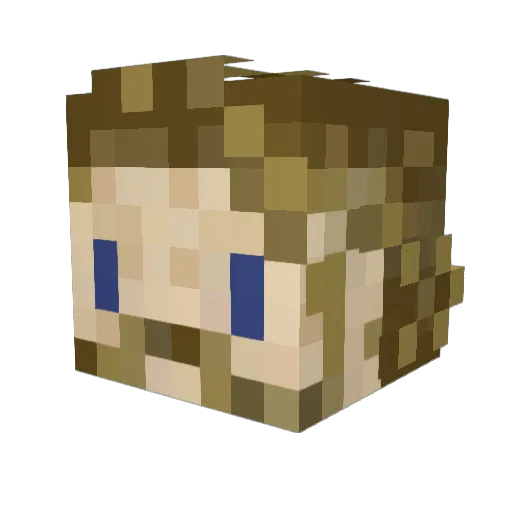 CaptainFendt29 Minecraft avatar head, 3D render