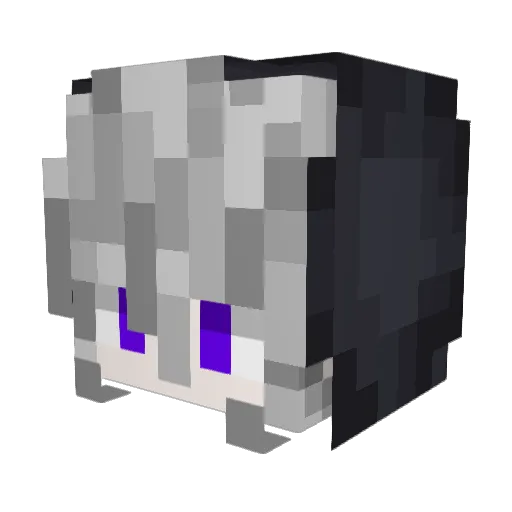 CaptainFish_ Minecraft avatar head, 3D render