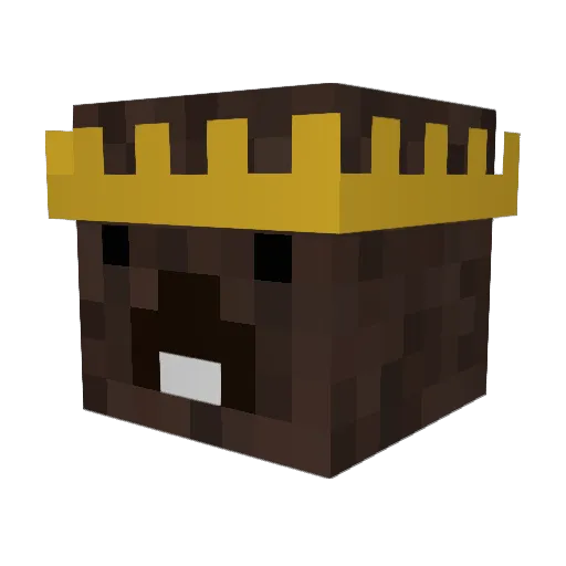 CaptainFizzy Minecraft avatar head, 3D render